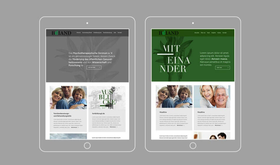 深圳|倍安蒂科技